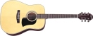 Chitara acustica Aria AW-20 Aria AW-20