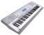 Casio CTK-4000