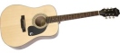 Epiphone DR 90 Natural foto