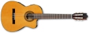 Chitara electro-clasica  Ibanez G5ECE-AM