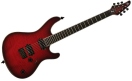 Mayones Regius 6M foto