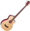 Oscar Schmidt Bas acustic OB100