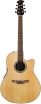 Chitara electro-acustica  Ovation Celebrity CC24S