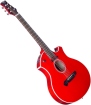 Parker Guitars Electroacustica P6