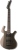 Parker Guitars P42