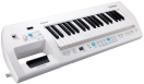 Roland AX-09 Lucina WH foto
