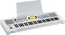 Roland E-09W