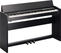 Roland F-120 SB foto