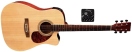 Chitara electro-acustica Chitara acustica D10 Dreadnought VGS D10 CE Natur
