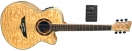 Chitara electro-acustica  VGS Passat V-2A CE/F NG