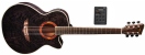 Chitara electro-acustica  VGS Passat V-2A CE/F TB