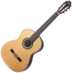 Washburn C80S