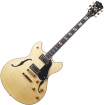 Washburn HB35
