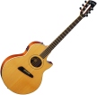 Washburn NV100 foto
