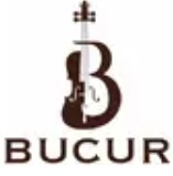 Lutier Ioan Bucur logo