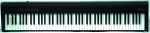 FP-30X BK