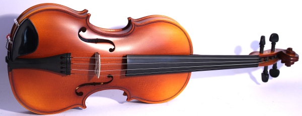 Hora Reghin Vioară Economic 1/2