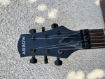Antimyth FR22 Matt Black Rosewood