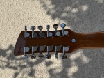 BD200 12-String Dreadnought