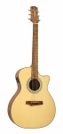 RGI-04CE Grand Auditorium Spruce/Mahogany