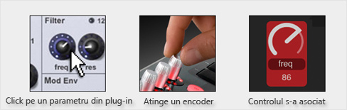 asociere nocturn knob