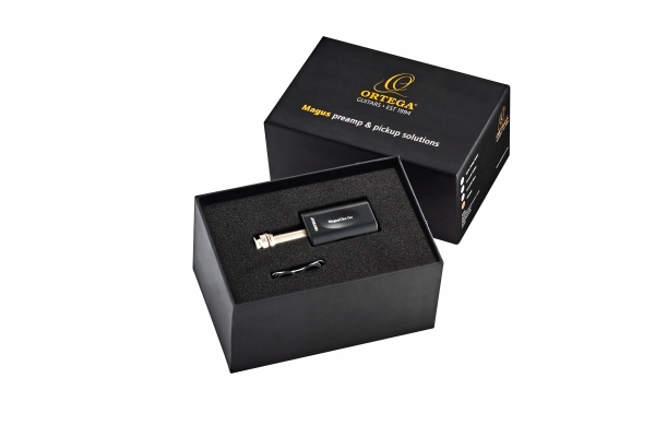 Guitar Preamp System Go