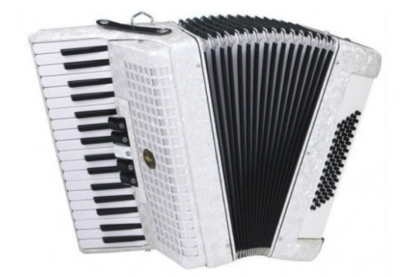 Acordeon 1308 White
