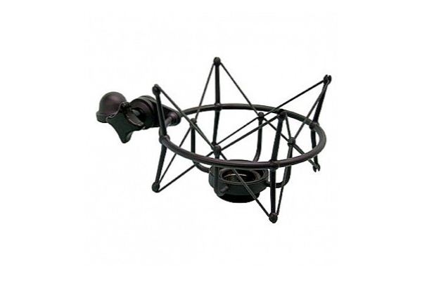 Neumann EA 2 mt