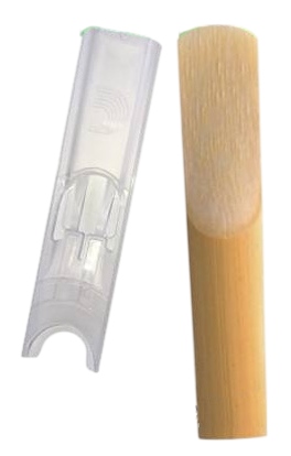 Daddario Woodwinds Royal Soprano Sax 2