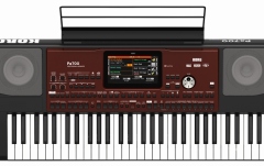 Aranjor profesional Korg PA700