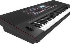Aranjor profesional Roland E-X50