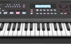 Aranjor profesional Roland E-X50