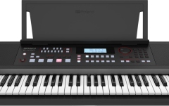 Aranjor profesional Roland E-X50