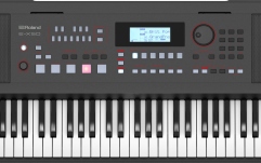 Aranjor profesional Roland E-X50