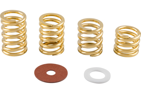 Bigsby Spring and Washer Pack Gold