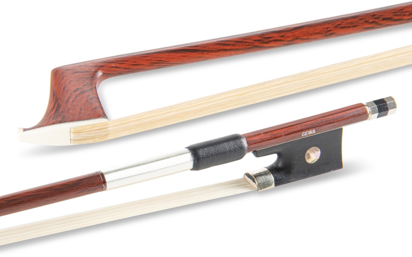 Gewa Violin Carbon Student Dark Natural