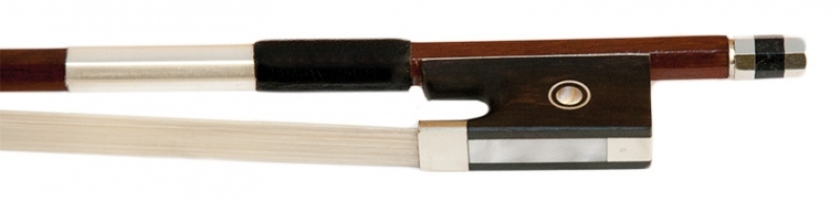 Petz 1080VN Manilkara kauki 3/4