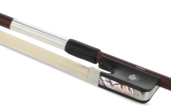 Arcusi viola  Gewa  Carbon Student 4/4 404.547.085