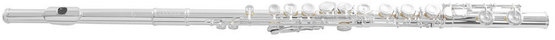Armstrong arioso fl-501 e