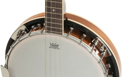 Banjo VGS Select 4