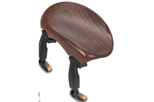 Bărbie Augsburg Vioară 4/4