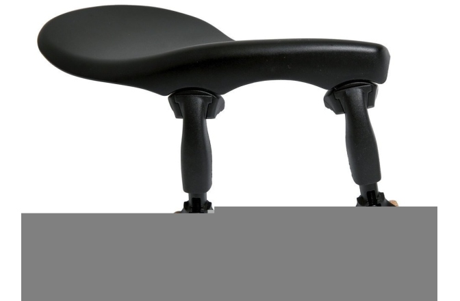 Bărbie violă Wittner Bărbie Zuerich Violă