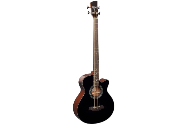 Brunswick TBJBA Acoustic Bass - Black