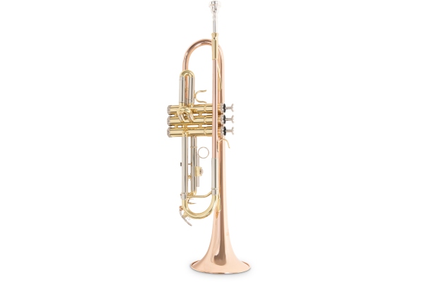 Bb-Trompeta TR-202G 