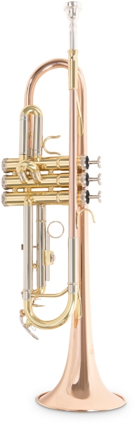 Roy Benson Bb-Trompeta TR-202G