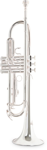 Roy Benson Bb-Trompeta TR-202S