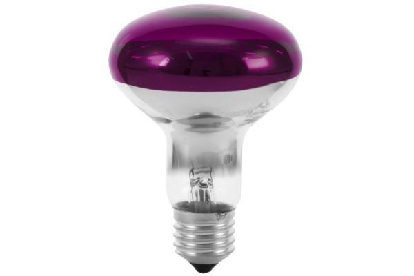 R80 230V/60W E-27 violet