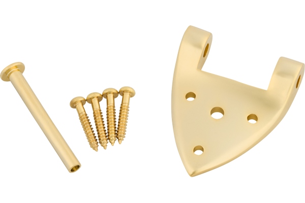 B3/6C Gretsch Hinge with Hinge Pin and Screws Gold B3/6C Gretsch Hinge with Hinge Pin and Screws Gold