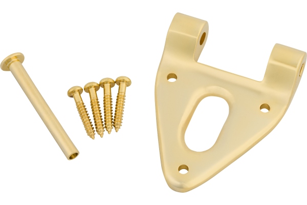Bigsby Conventional Hinge w/Hinge Pin and Screws Gold