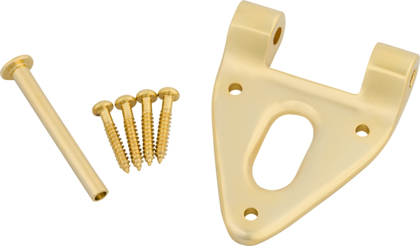Bigsby Conventional Hinge w/Hinge Pin and Screws Gold